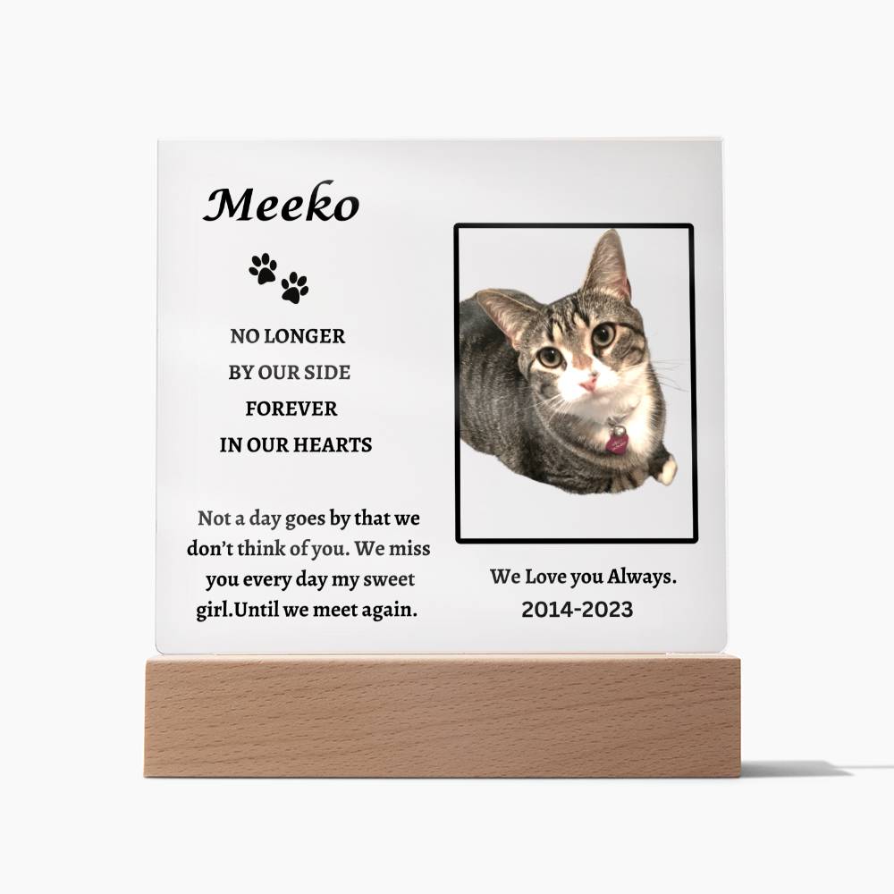 Remembering Meeko