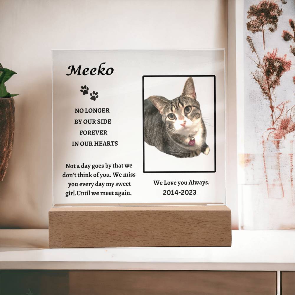 Remembering Meeko