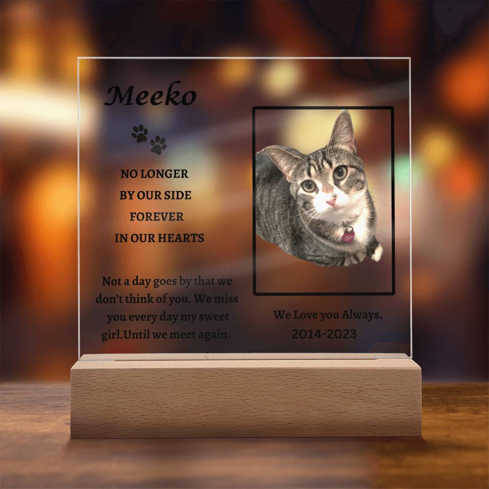 Remembering Meeko