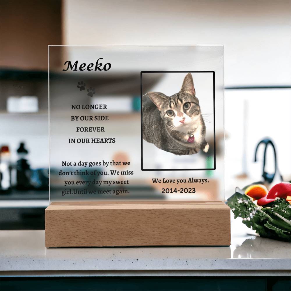 Remembering Meeko