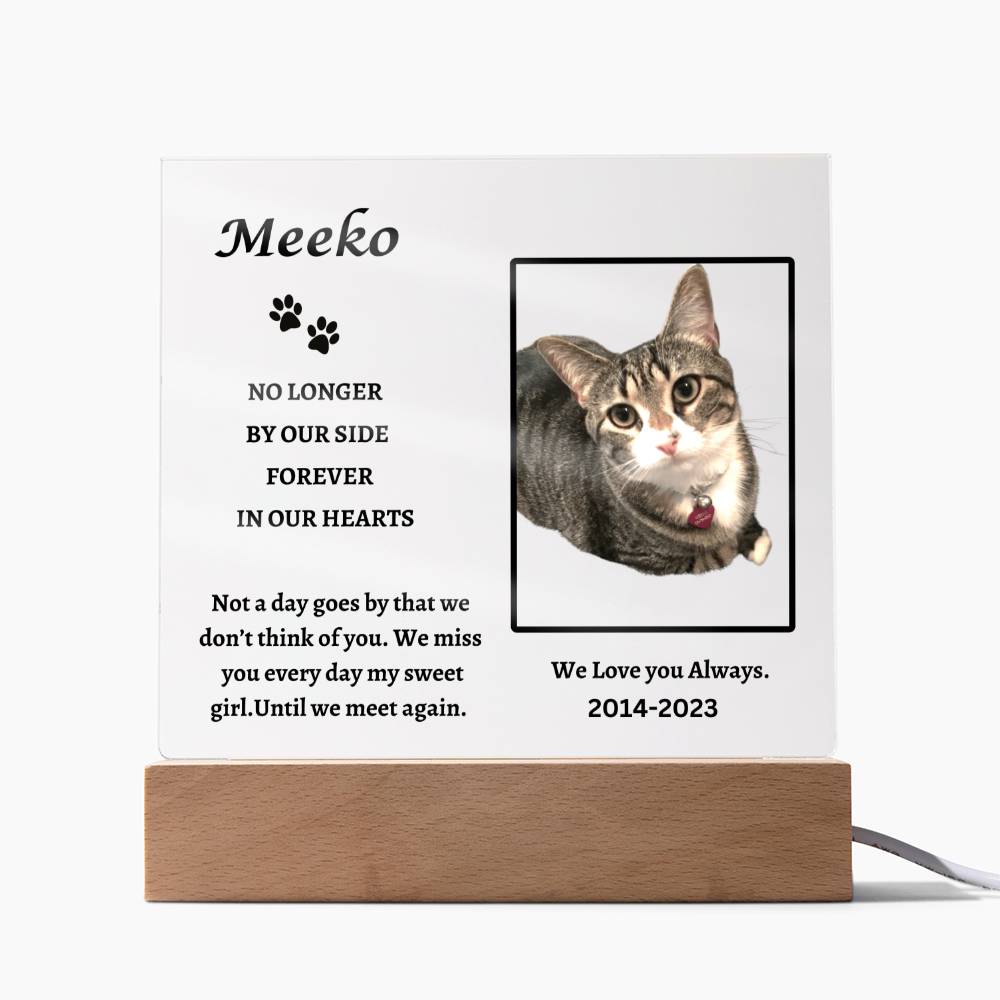 Remembering Meeko