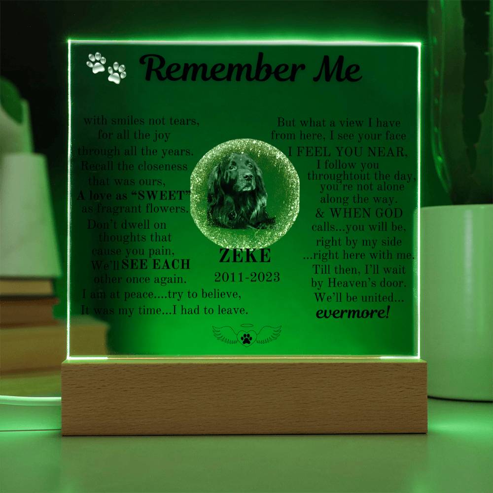 REMEMBER ME