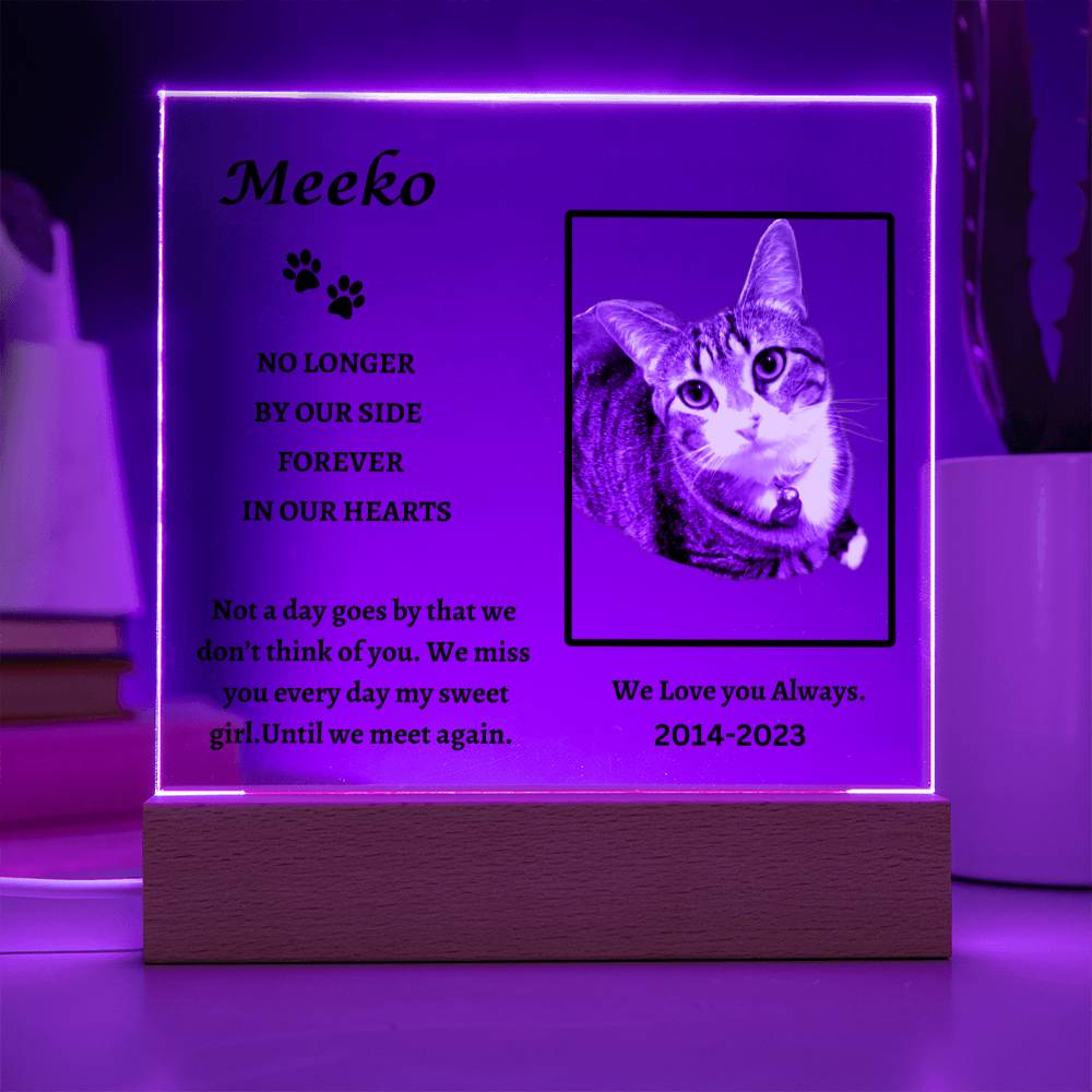 Remembering Meeko