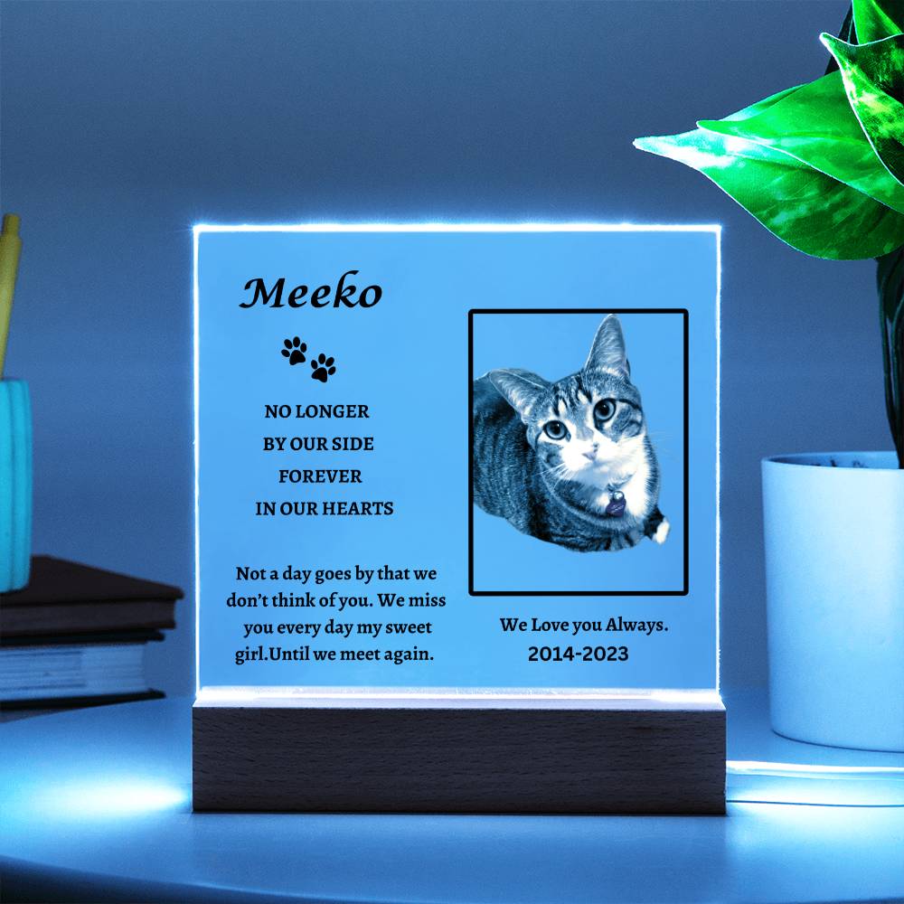 Remembering Meeko